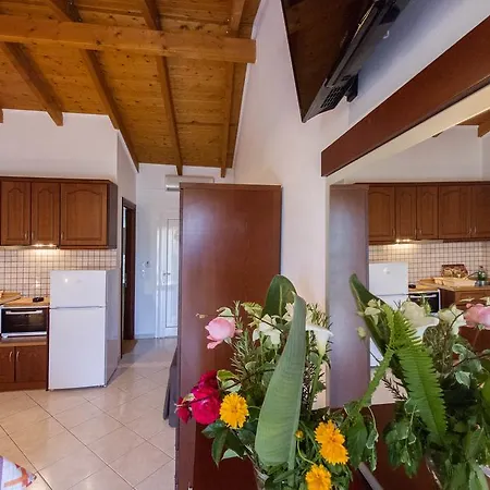 Kefalas Apartments Parga Extérieur photo